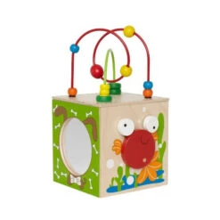 Cube Découverte Multi-activités