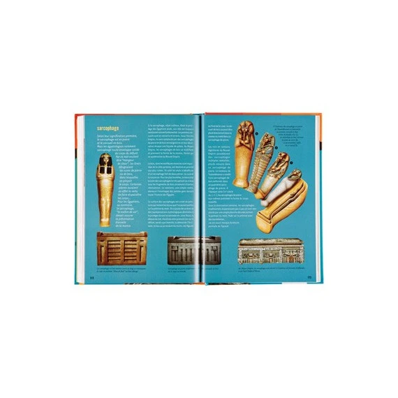 Dicotem Egypte 4 Dicotem Egypte – Image 4