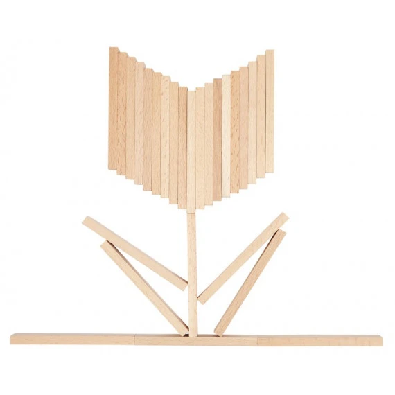 Planchettes De Construction En Bois X 200 4 Planchettes De Construction En Bois X 200 – Image 4