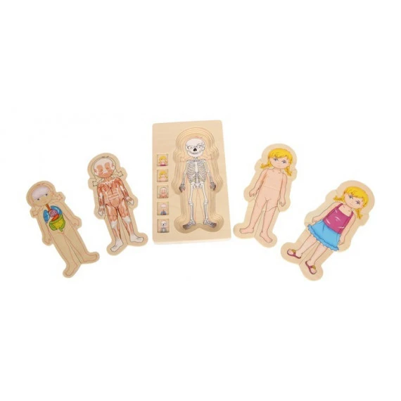 Puzzle Anatomie Fille En Bois 2 Puzzle Anatomie Fille En Bois – Image 2